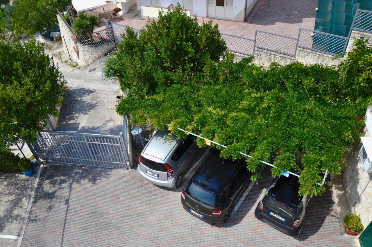 B&B Il Giardino Stellato Vieste Kültér fotó